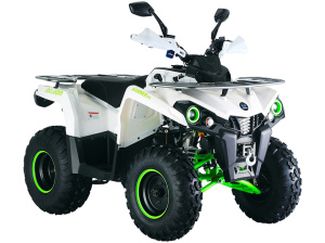 Квадроцикл ATV Motax Grizzlik 200 New