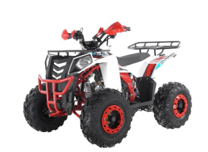 Квадроцикл ATV WELS Thunder Evo 125